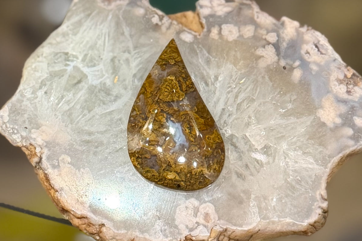 Texas Plume Agate Cabochon