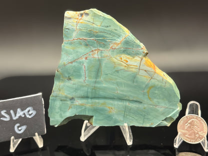 Skagg's Jasper (Unpolished)