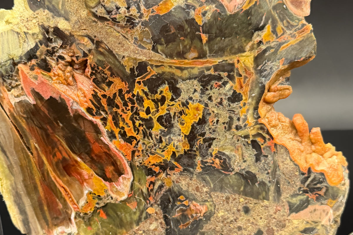 Turkish Petrified Wood (Unpolished)