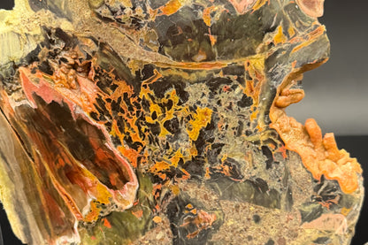 Turkish Petrified Wood (Unpolished)