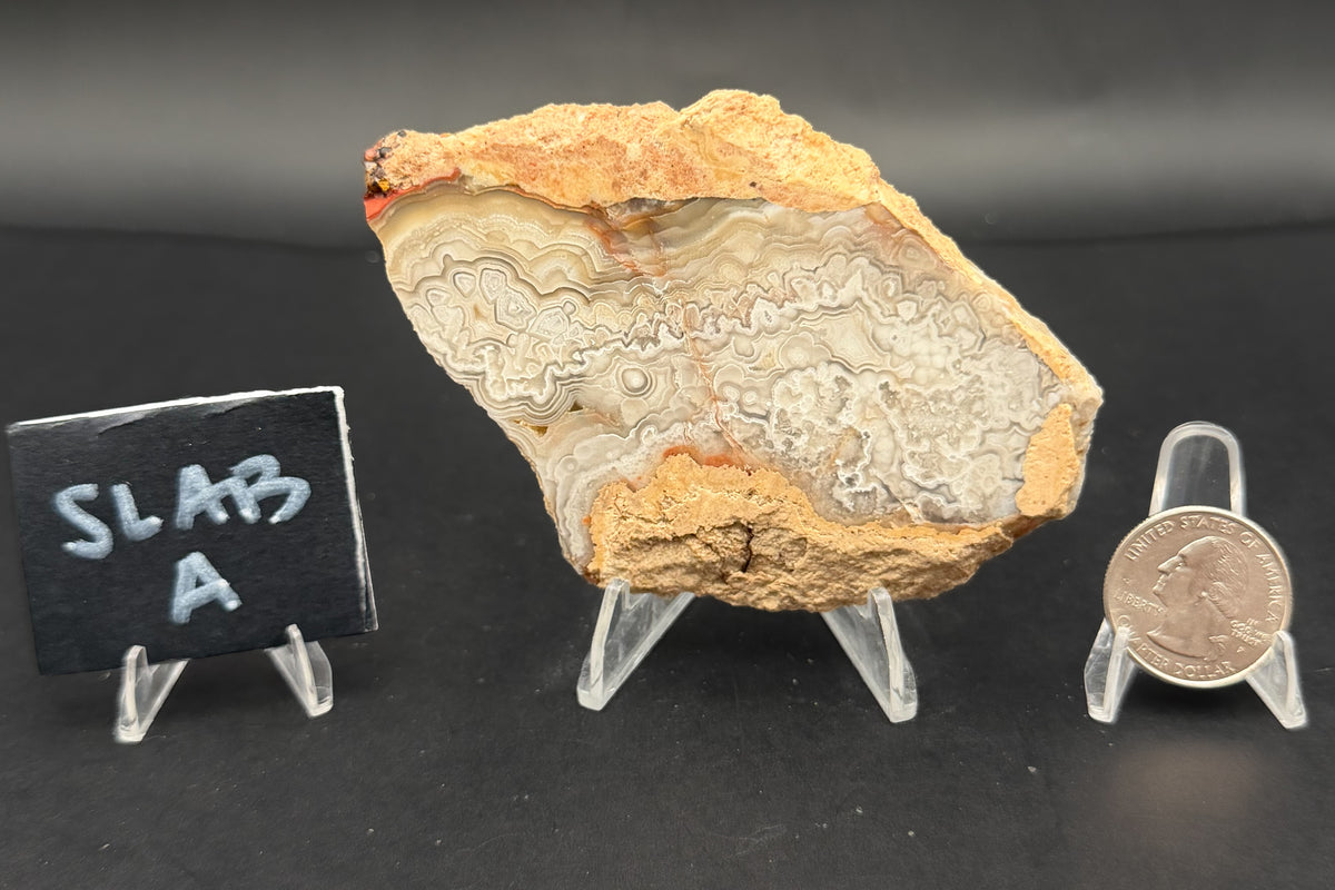 Candle Lace Agate Slab Set (Unpolished)