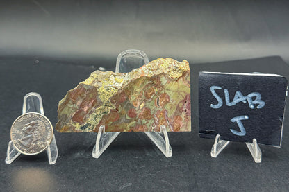 Spiderweb Jasper (Unpolished)