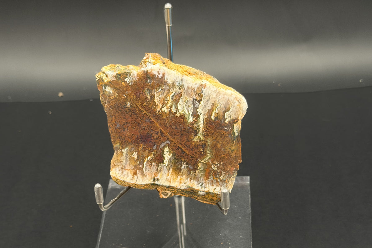 Linda Marie Plume Agate (Unpolished)