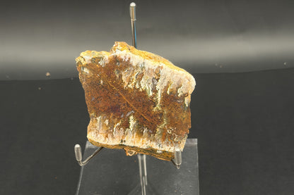 Linda Marie Plume Agate (Unpolished)