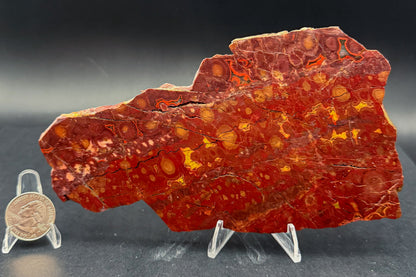 Morgan Hill Poppy Jasper (Unpolished)