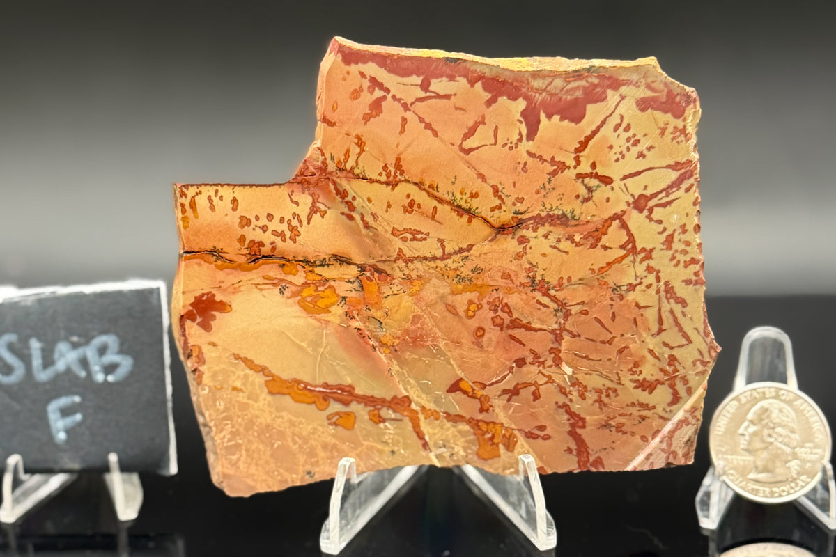 Owyhee Jasper (Unpolished)