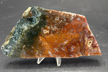 Maury Mountain Moss Agate (Unpolished) Slabs