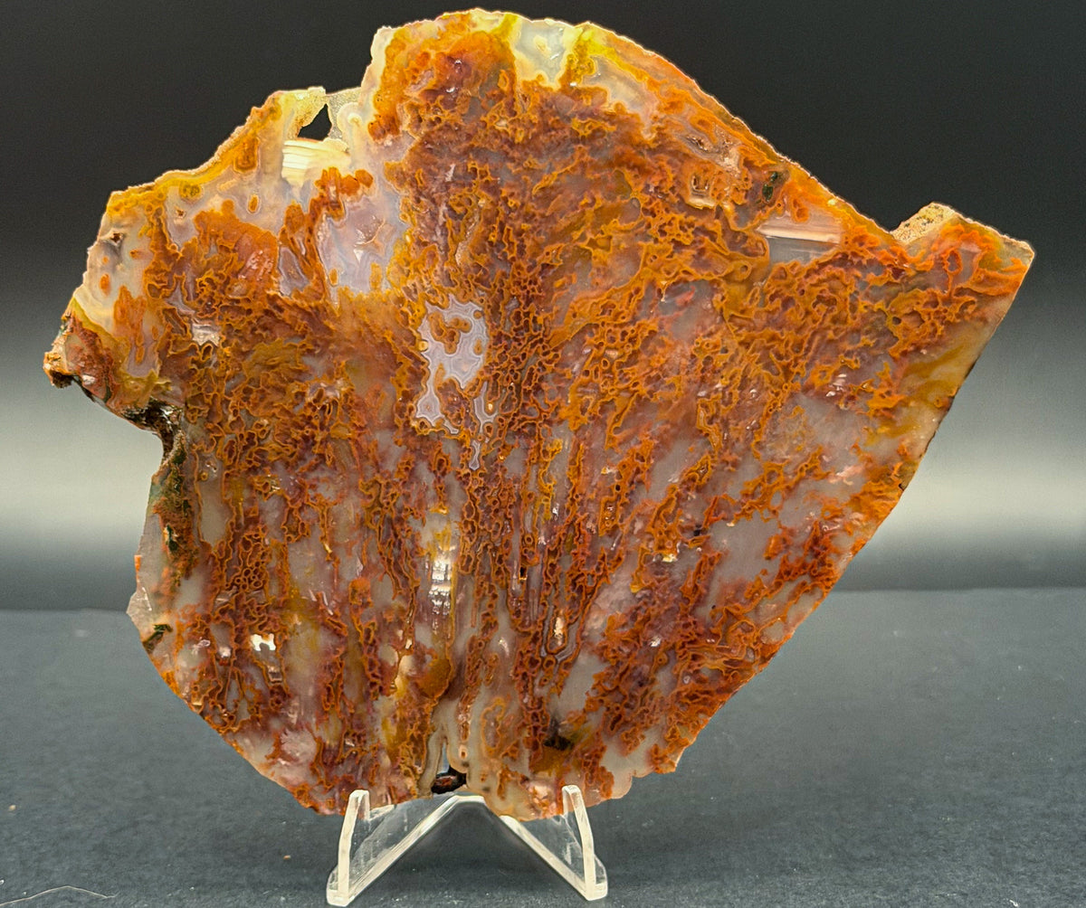 Bull Canyon Tube/Moss Agate (Unpolished)