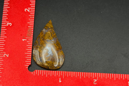 Texas Plume Agate Cabochon