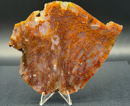 Bull Canyon Tube/Moss Agate (Unpolished)