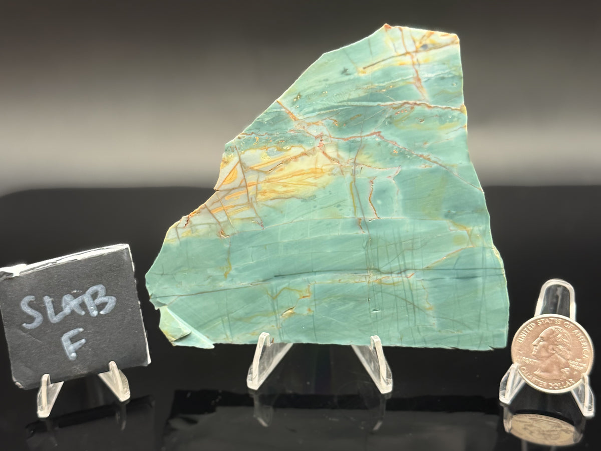 Skagg's Jasper (Unpolished)
