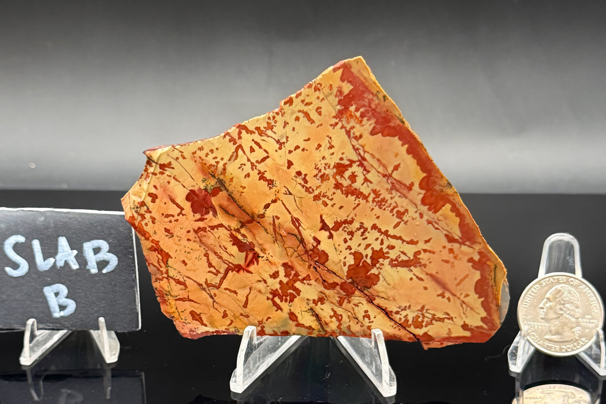 Owyhee Jasper (Unpolished)