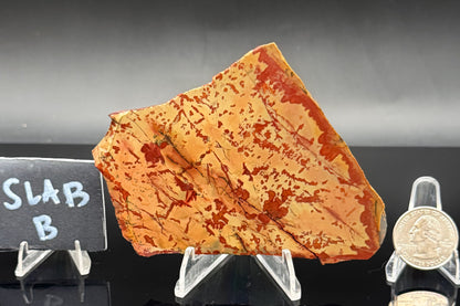 Owyhee Jasper (Unpolished)