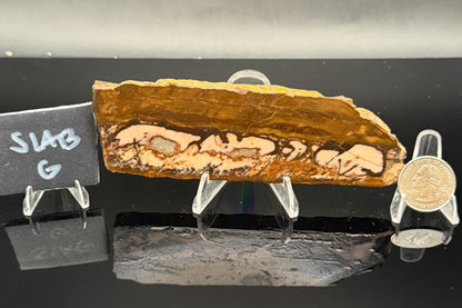 Outback Jasper (Unpolished)
