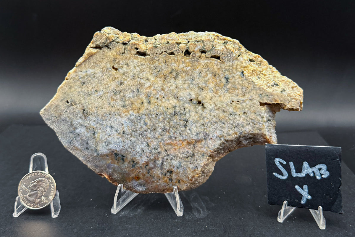 Ocean Jasper Slab (Unpolished)