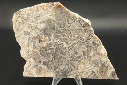 Candle Lace Agate (Unpolished)