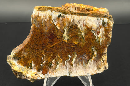 Linda Marie Plume Agate (Unpolished)