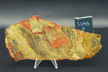 Carrisite Jasper Slab (Unpolished)