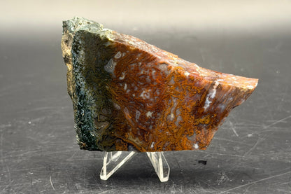 Maury Mountain Moss Agate (Unpolished) Slabs
