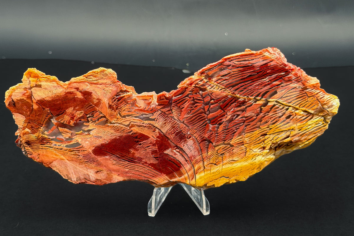 Howardite Jasper