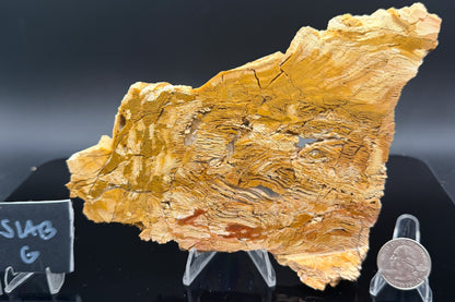 Howardite Jasper