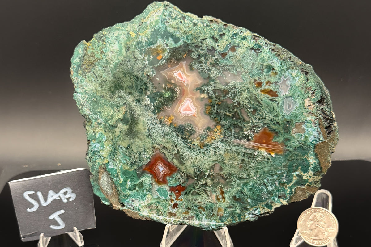Turkish Limbcast with Agatized Chrysocolla (Unpolished)