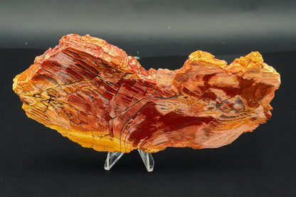 Howardite Jasper