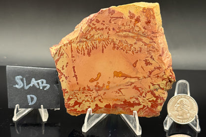 Owyhee Jasper (Unpolished)