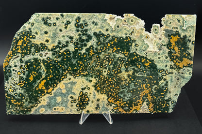 1st Vein Ocean Jasper (Unpolished)