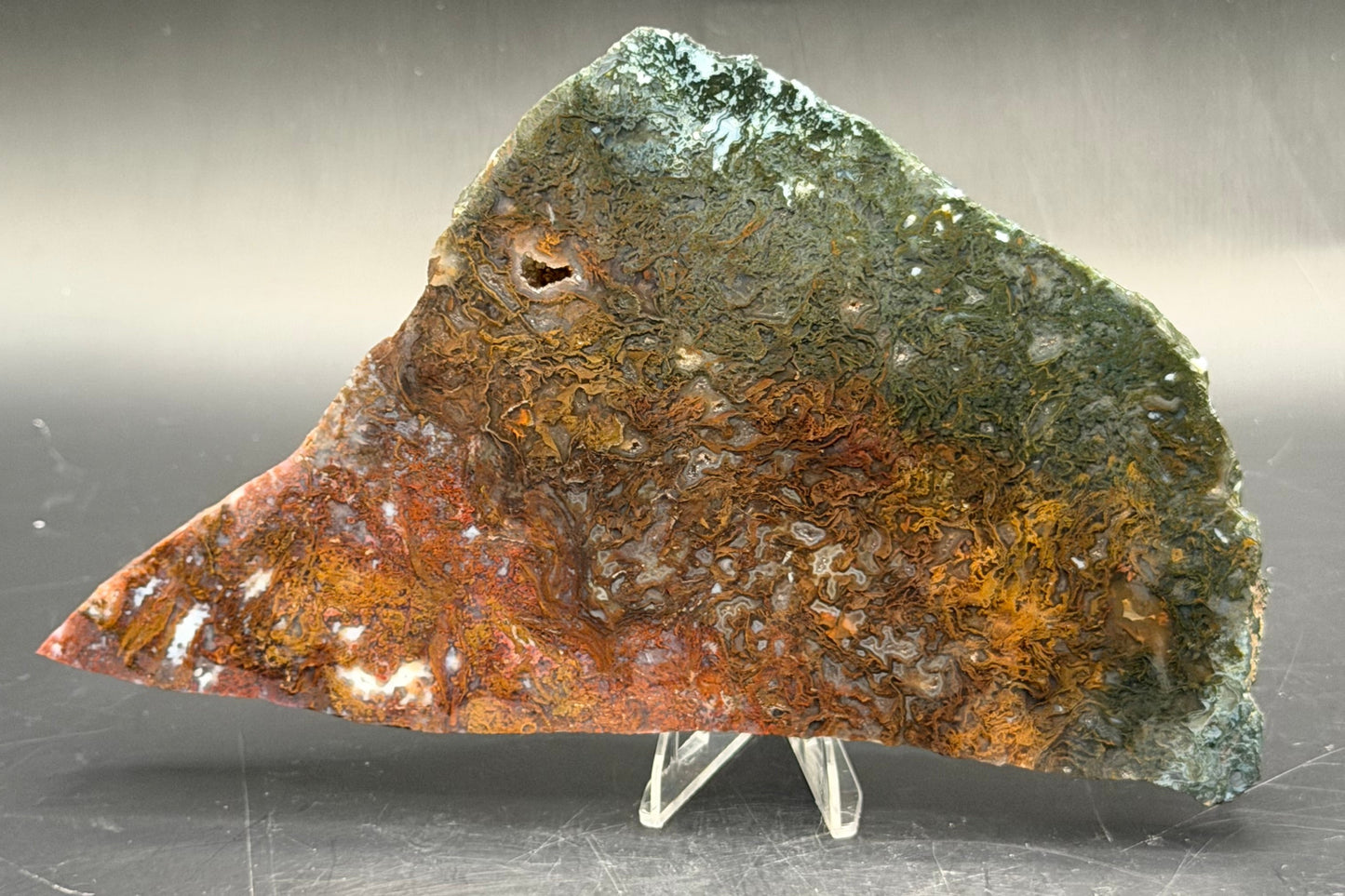 Maury Mountain Moss Agate (Unpolished) Slabs