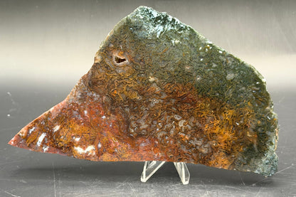 Maury Mountain Moss Agate (Unpolished) Slabs