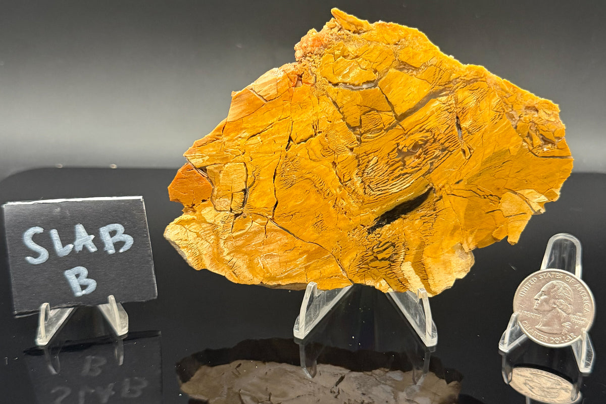 Howardite Jasper