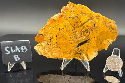 Howardite Jasper