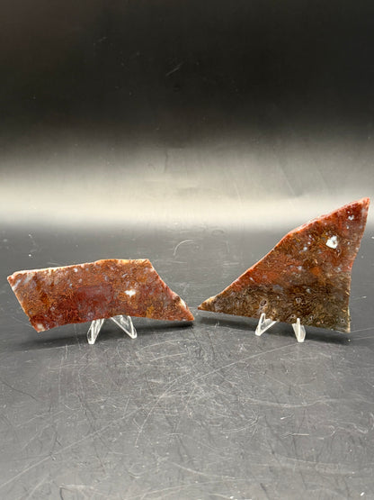 Maury Mountain Moss Agate (Unpolished) Slabs