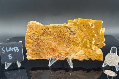 Howardite Jasper
