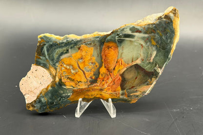 Morrisonite Jasper slab (Unpolished)