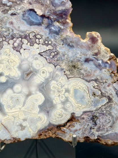 Mexican Luna Agate Slab - Premium Grade Old Stock (Polished)