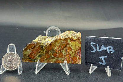 Spiderweb Jasper (Unpolished)