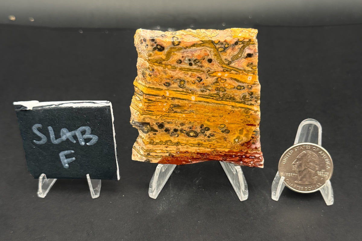 Leopard Skin Rhyolite (Unpolished)