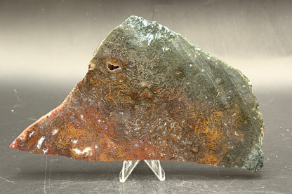 Maury Mountain Moss Agate (Unpolished) Slabs