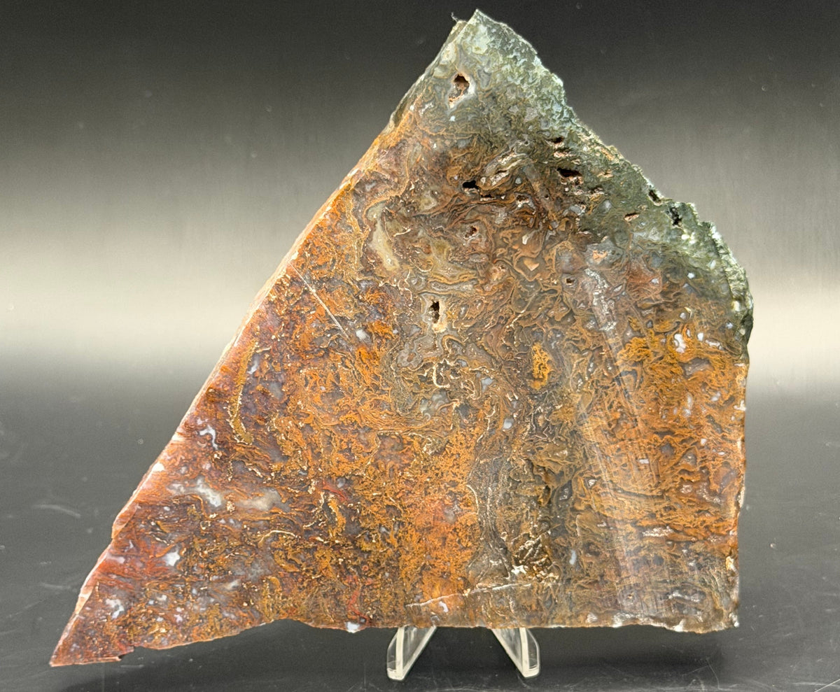 Maury Mountain Moss Agate (Unpolished) Slabs
