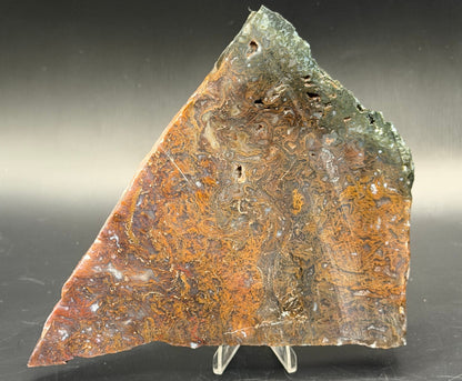 Maury Mountain Moss Agate (Unpolished) Slabs