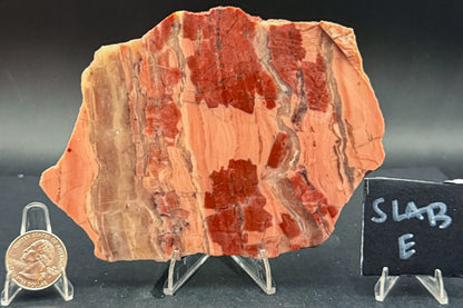 Unpolished Kona Dolomite