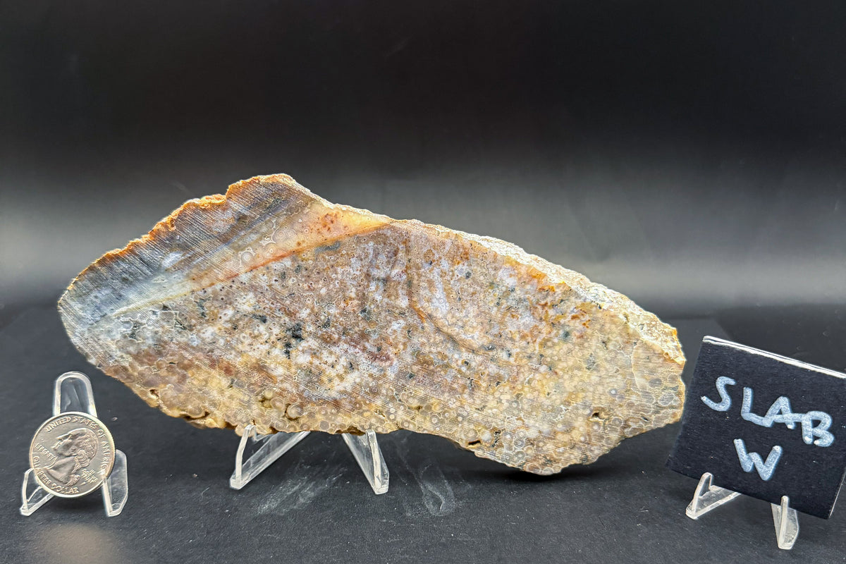 Ocean Jasper Slab (Unpolished)