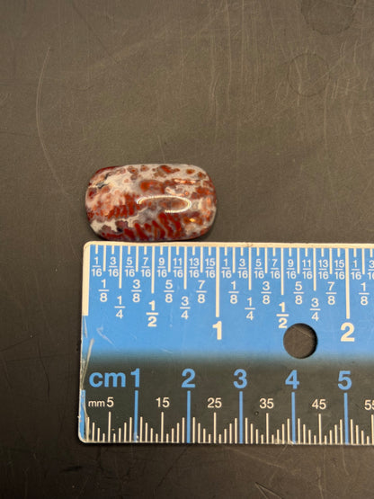 Paul Bunyan Agate