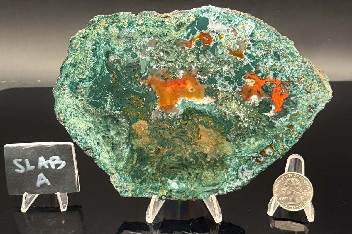 Turkish Limbcast with Agatized Chrysocolla (Unpolished)