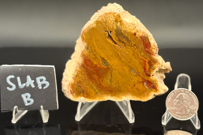 Indonesian Moss Agate (Unpolished)