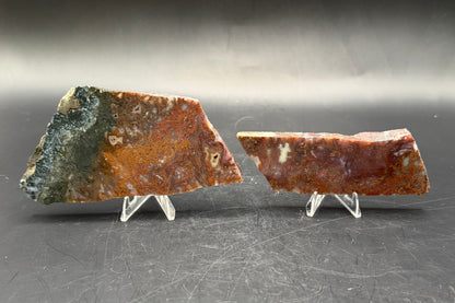 Maury Mountain Moss Agate (Unpolished) Slabs