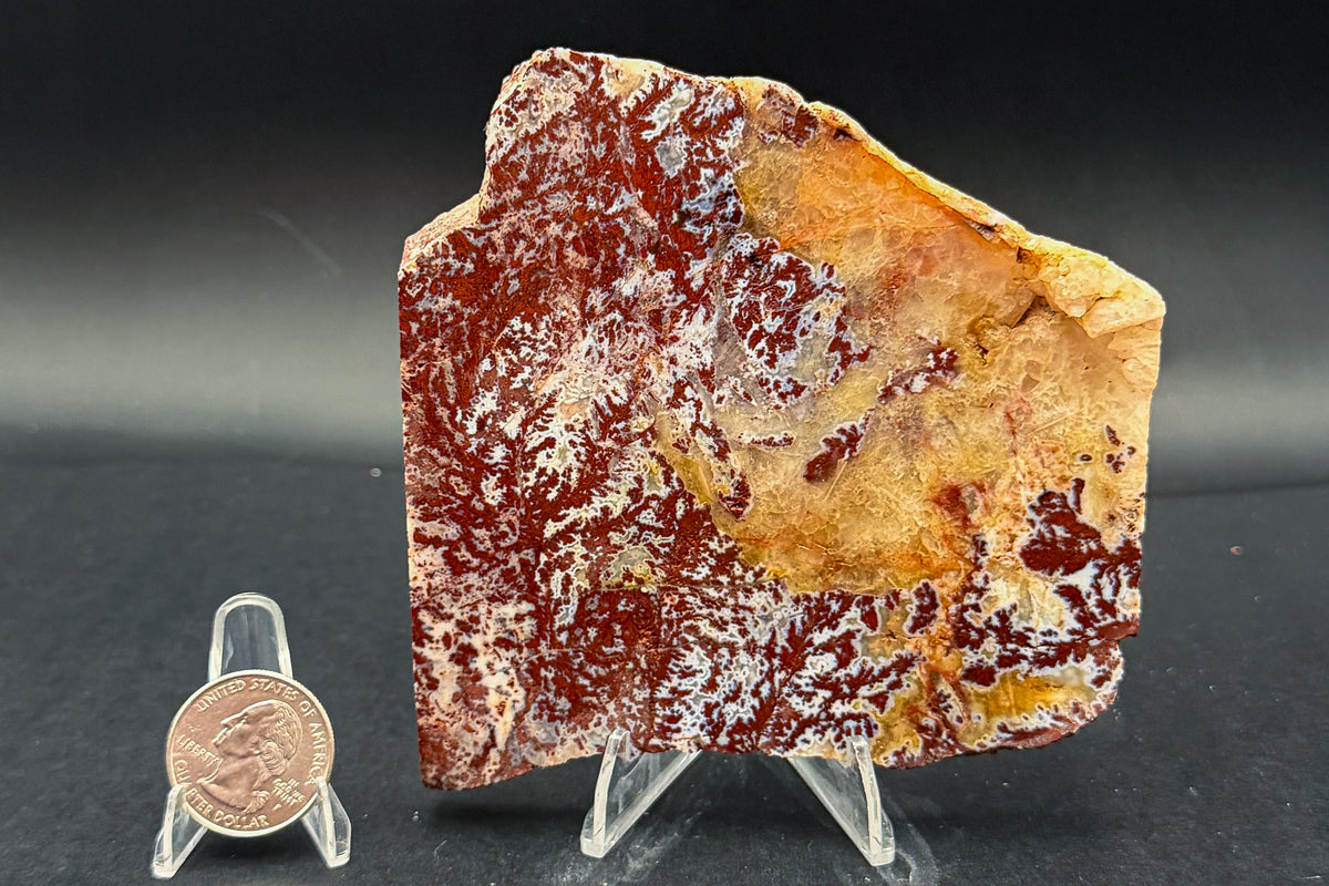 Paul Bunyan Agate (Unpolished)