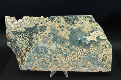 1st Vein Ocean Jasper (Unpolished)